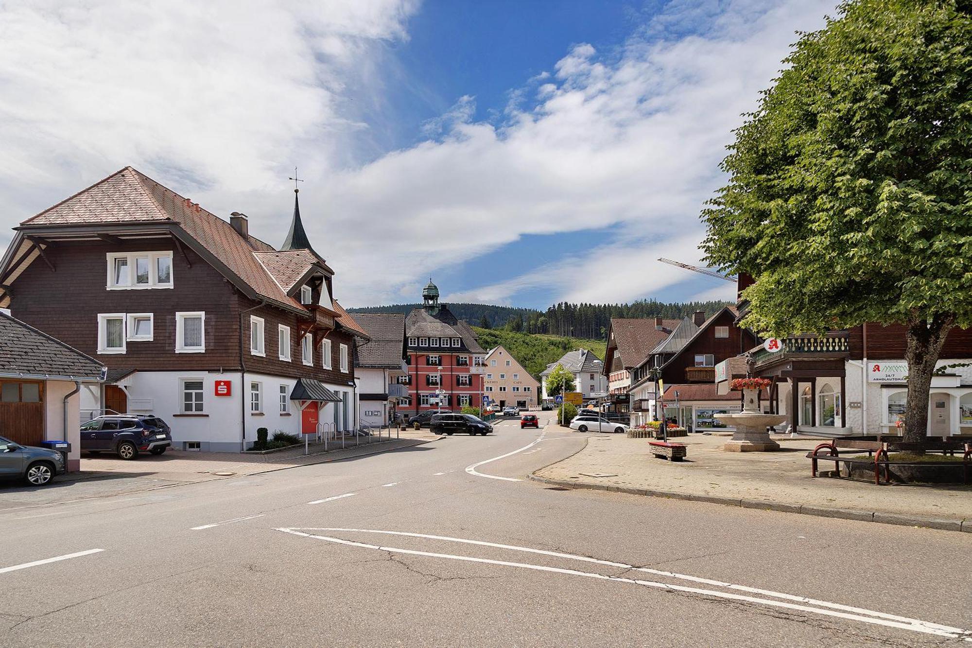 Sonnenblick Apartment Lenzkirch Exterior photo